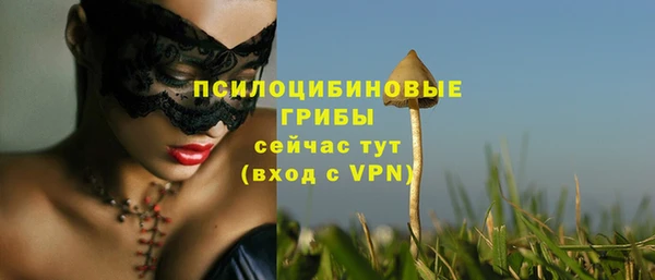 ПСИЛОЦИБИНОВЫЕ ГРИБЫ Алексин