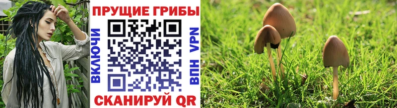 Галлюциногенные грибы GOLDEN TEACHER  Поронайск 